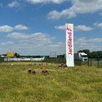 Création d'enseigne Marseille