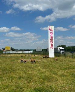 Création d'enseigne Marseille