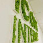 Enseigne lettres PVC végétales avec lichen Marseille