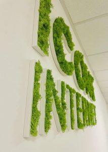 Enseigne lettres PVC végétales avec lichen Marseille