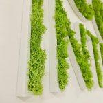 Enseigne lettres PVC végétales avec lichen Marseille