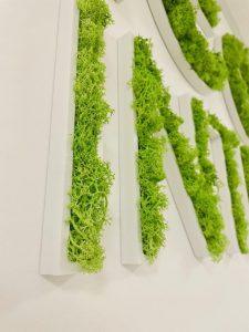 Enseigne lettres PVC végétales avec lichen Marseille