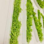 Enseigne lettres PVC végétales avec lichen Marseille