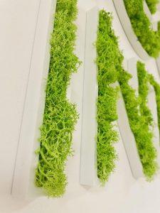 Enseigne lettres PVC végétales avec lichen Marseille